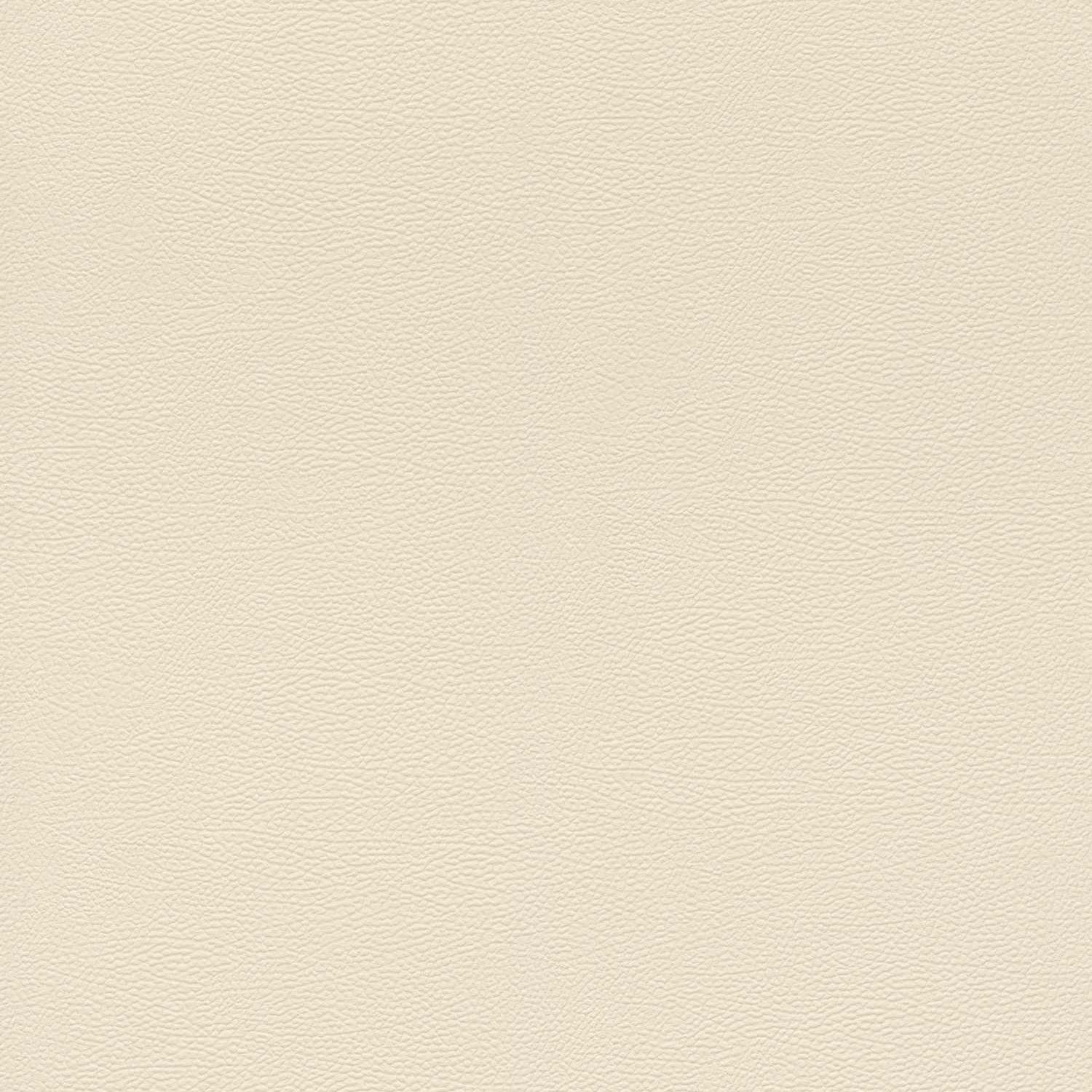 Rasch | African Queen III | 752625 | Vliestapete | Einfarbig | Uni | 0.53 x 10.05 m | Beige
