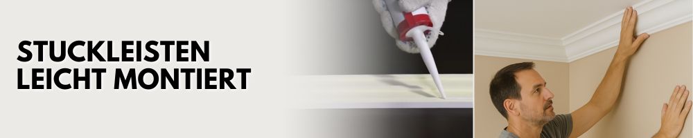Stuckleisten-Banner_Beschreibung