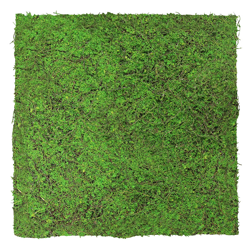 JANGAL Modular Wall Akustik Wandpaneel 520 x 520 x 50 mm Forest Green Ancient Tree Naturfaser Pflanz