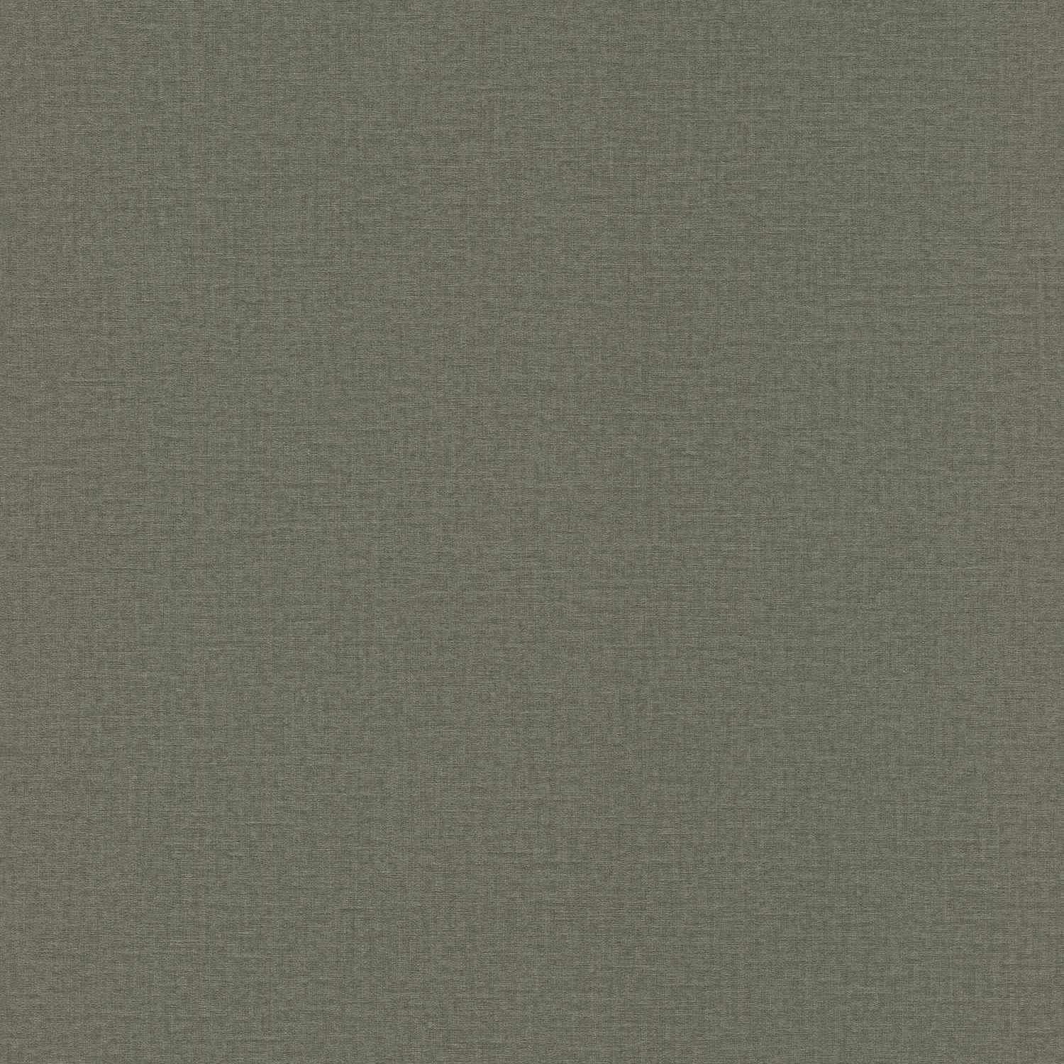 Rasch | Lirico | 555943 | Vliestapete | Einfarbig | Uni | 0.53 x 10.05 m | Grün