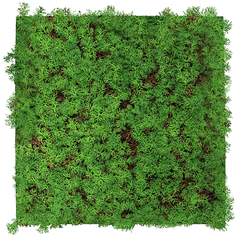 JANGAL Modular Wall Akustik Wandpaneel 520 x 520 x 50 mm Thuja Tea Tree Naturfaser Pflanzenwand