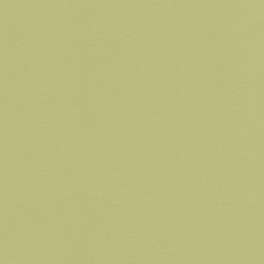 A.S. Creation | Antigua | 390974 | Vliestapete | Einfarbig | 10.05 x 0.53 m | Grün