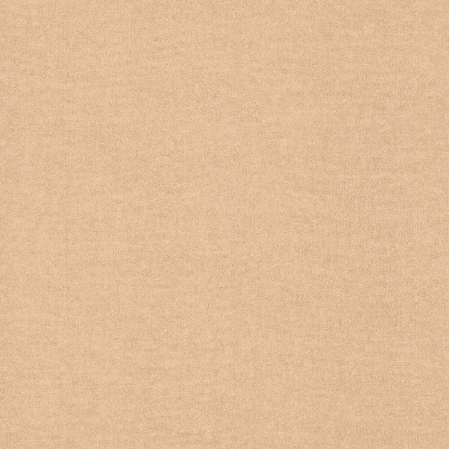 Rasch | Bambino XIX | 252866 | Vliestapete | Einfarbig | Uni | 0.53 x 10.05 m | Braun