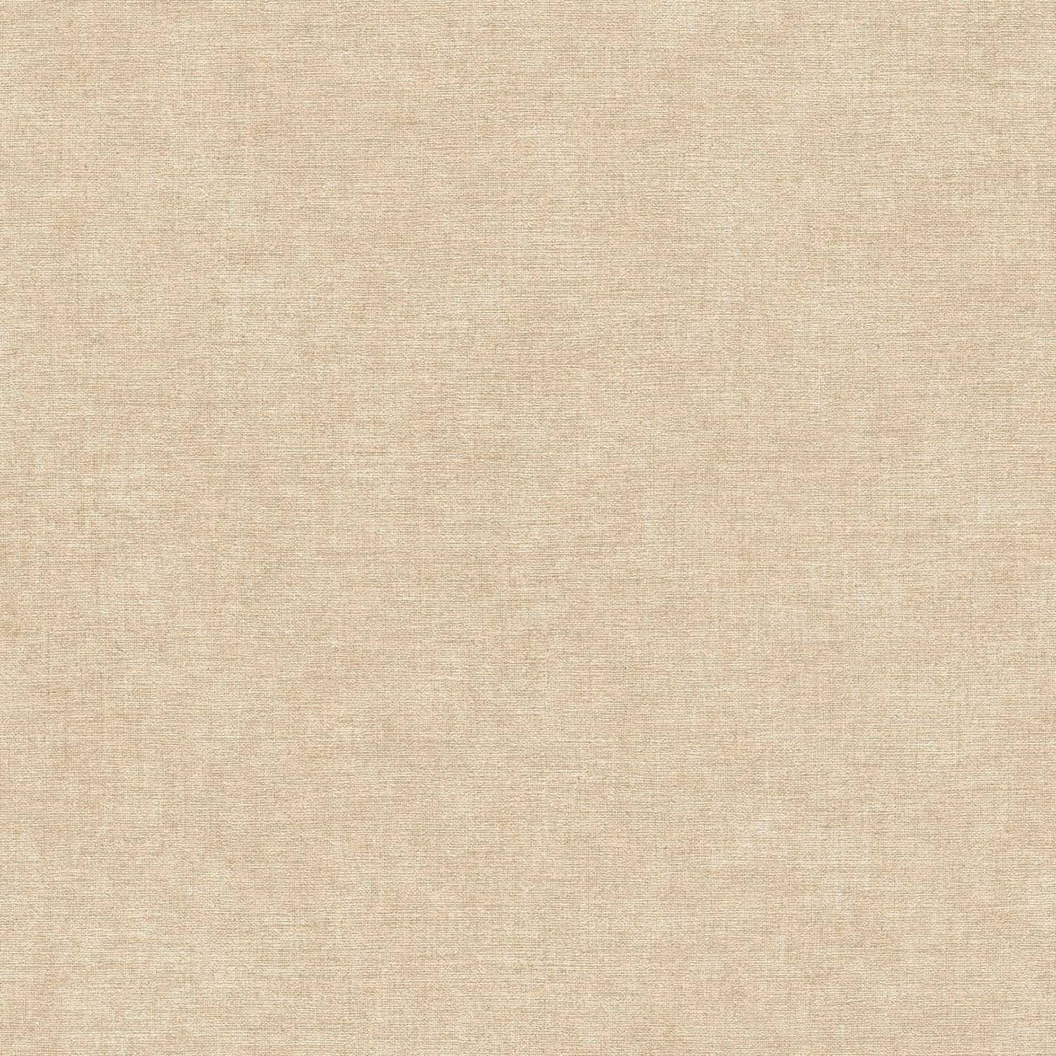 Vliestapete 395655 Beige Uni Einfarbig PintWalls II A.S. Creation