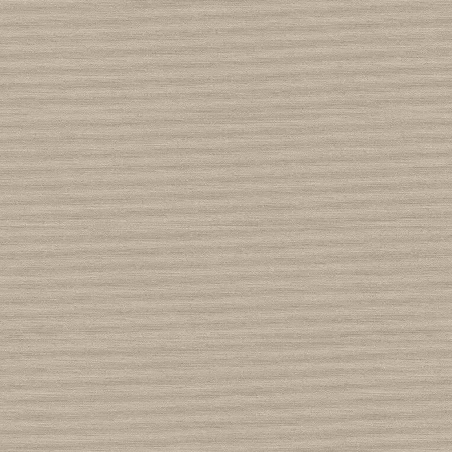 A.S. Creation | Antigua | 390983 | Vliestapete | Einfarbig | 10.05 x 0.53 m | Beige