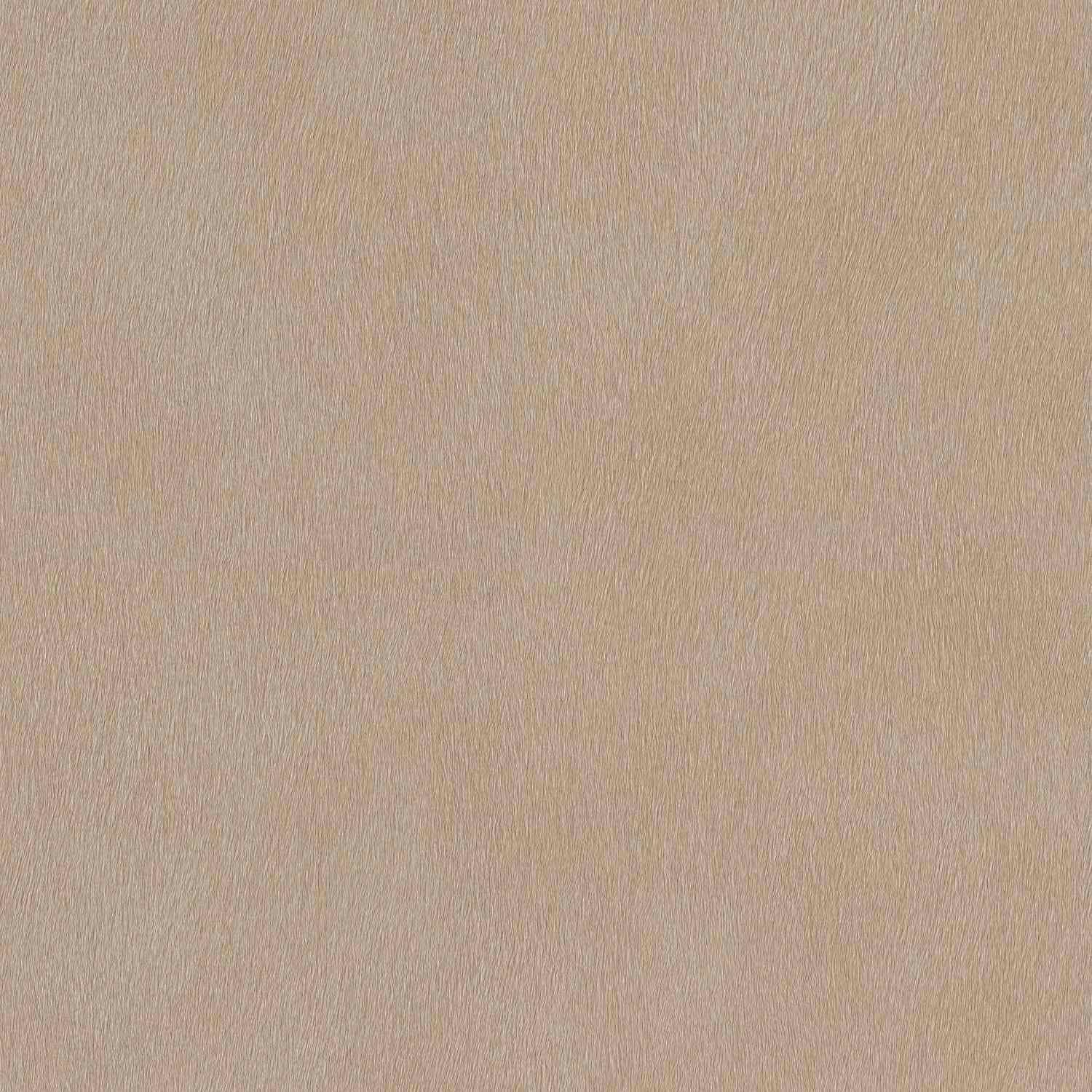 Rasch | African Queen III | 751055 | Vliestapete | Einfarbig | Uni | 0.53 x 10.05 m | Braun