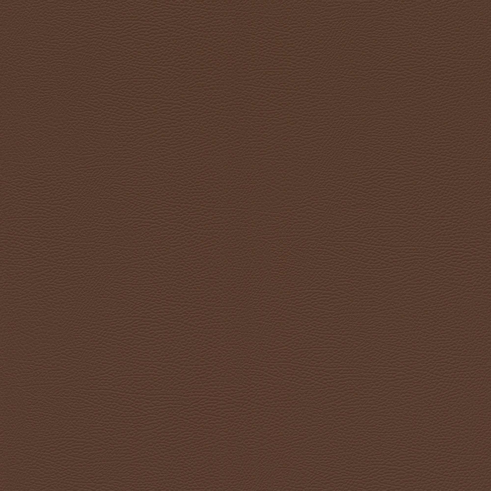 Vliestapete 752663 Braun Uni Einfarbig African Queen III Rasch