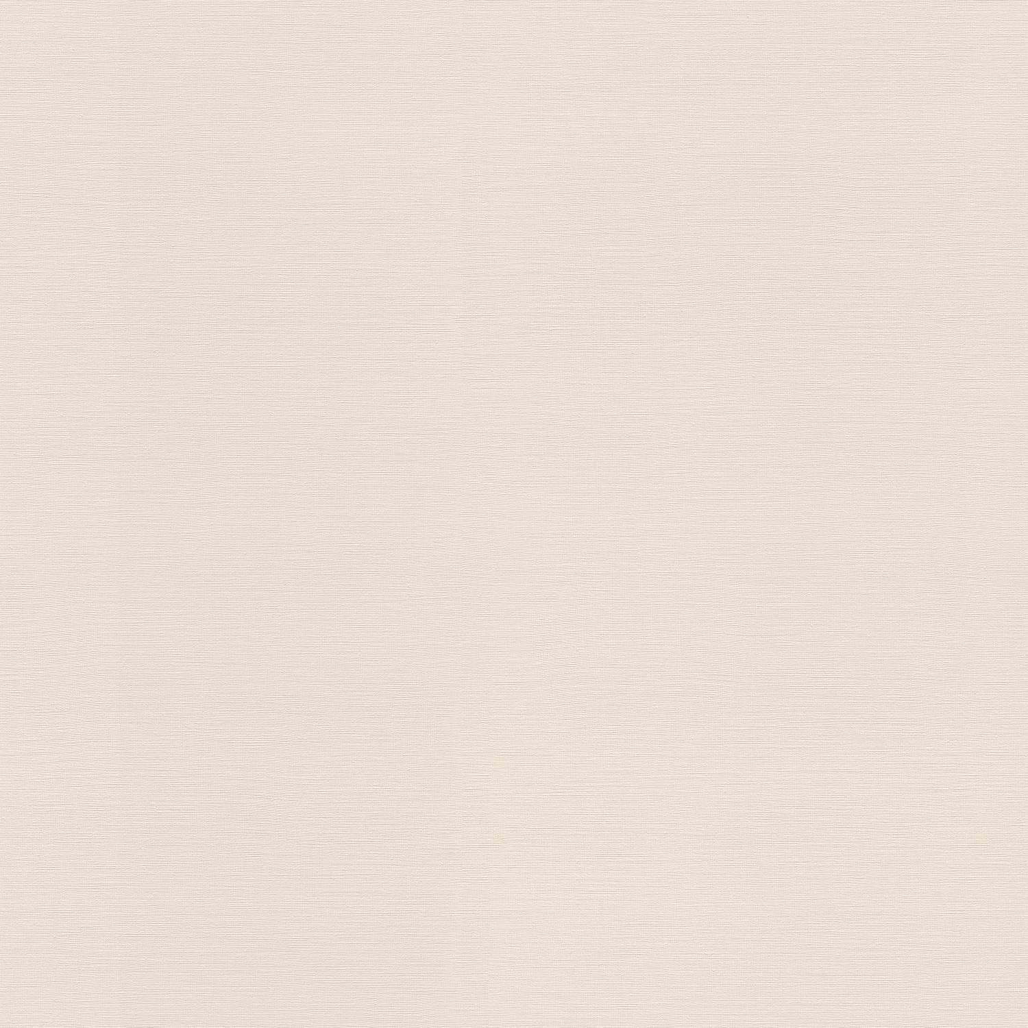 Rasch | Tropical House | 687507 | Vliestapete | Einfarbig | Uni | 0.53 x 10.05 m | Grau