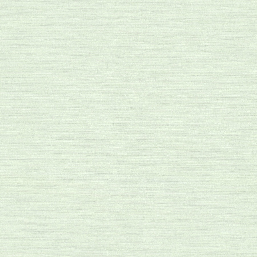 A.S. Creation | House of Turnowsky | 389034 | Vliestapete | Einfarbig | 10.05 x 0.53 m | Grün