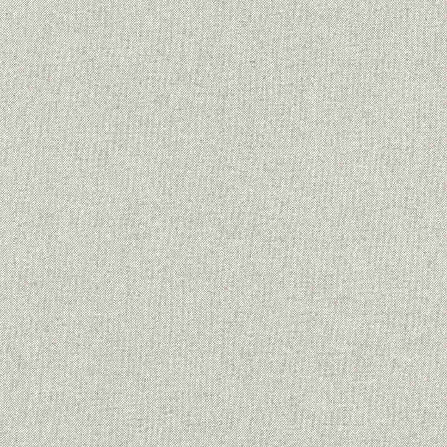 Rasch | Color Your Life | 633696 | Vliestapete | Einfarbig | Uni | 0.53 x 10.05 m | Grau