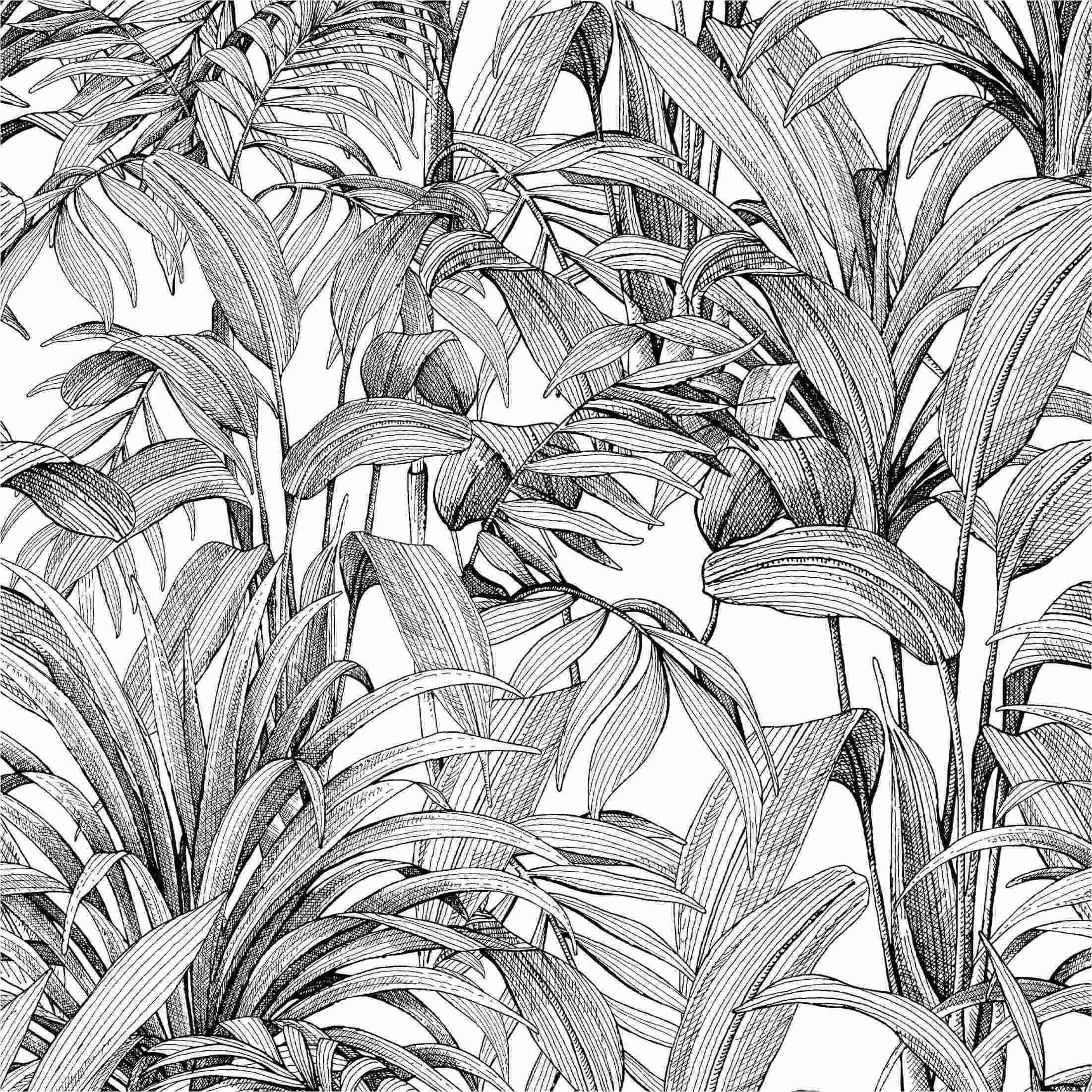 Fototapete A58301 Botanical / Dschungel 0.53 x 8.84 m ONE ROLL - ONE MOTIF II Grandeco