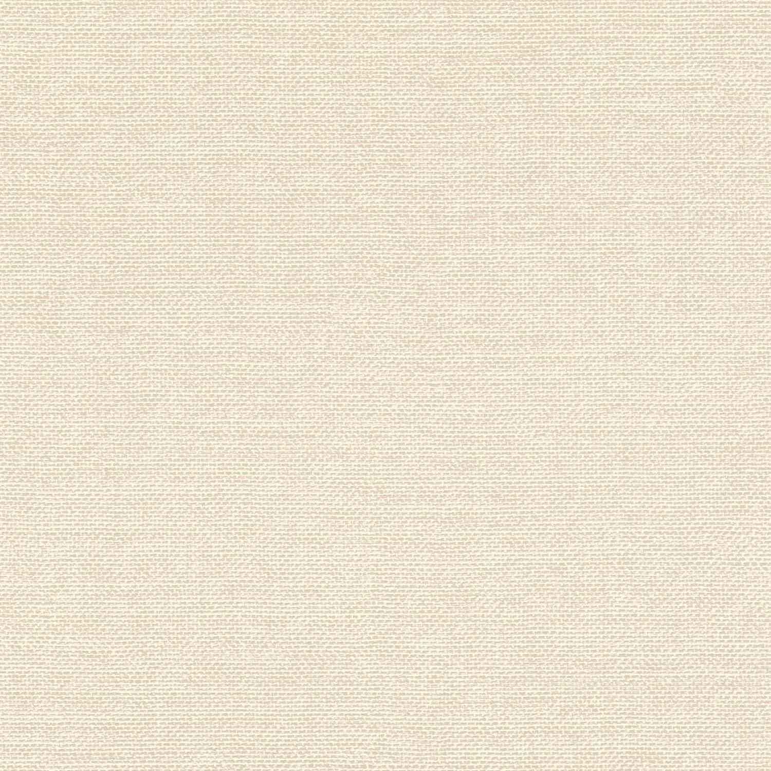 Rasch | Color Your Life | 312126 | Vliestapete | Einfarbig | Uni | 0.53 x 10.05 m | Beige