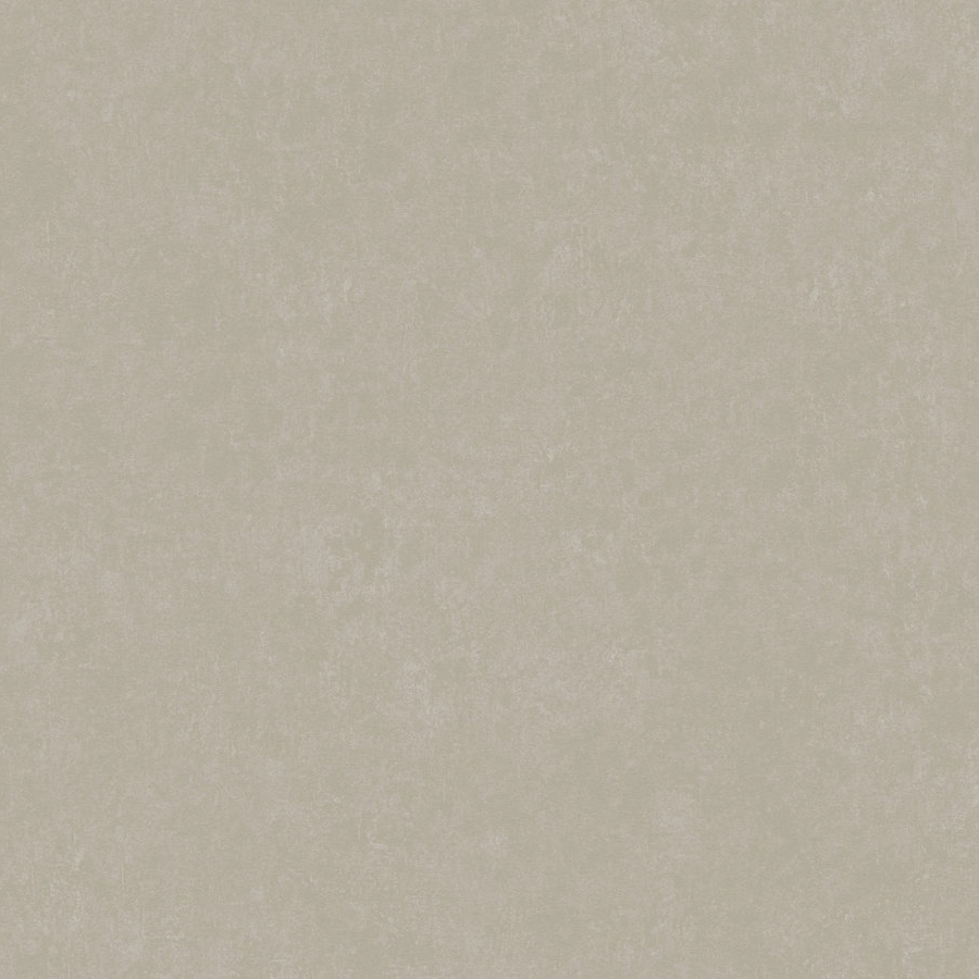 A.S. Creation | Styleguide Design 2024 | 385949 | Vliestapete | Einfarbig | 10.05 x 0.53 m | Grau