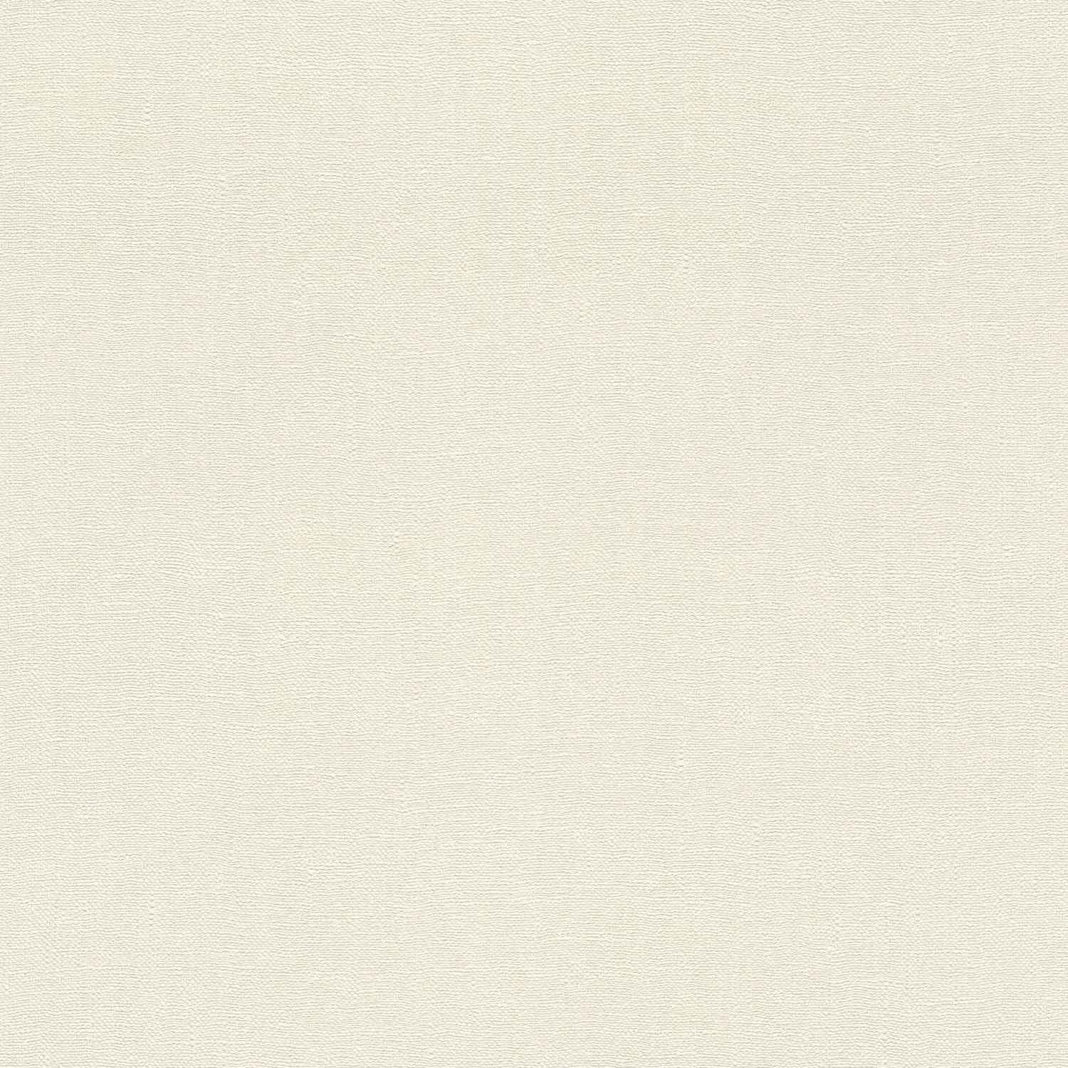 Rasch | Barbara Home Collection III | 560282 | Vliestapete | Einfarbig | 0.53 x 10.05 m | Weiß