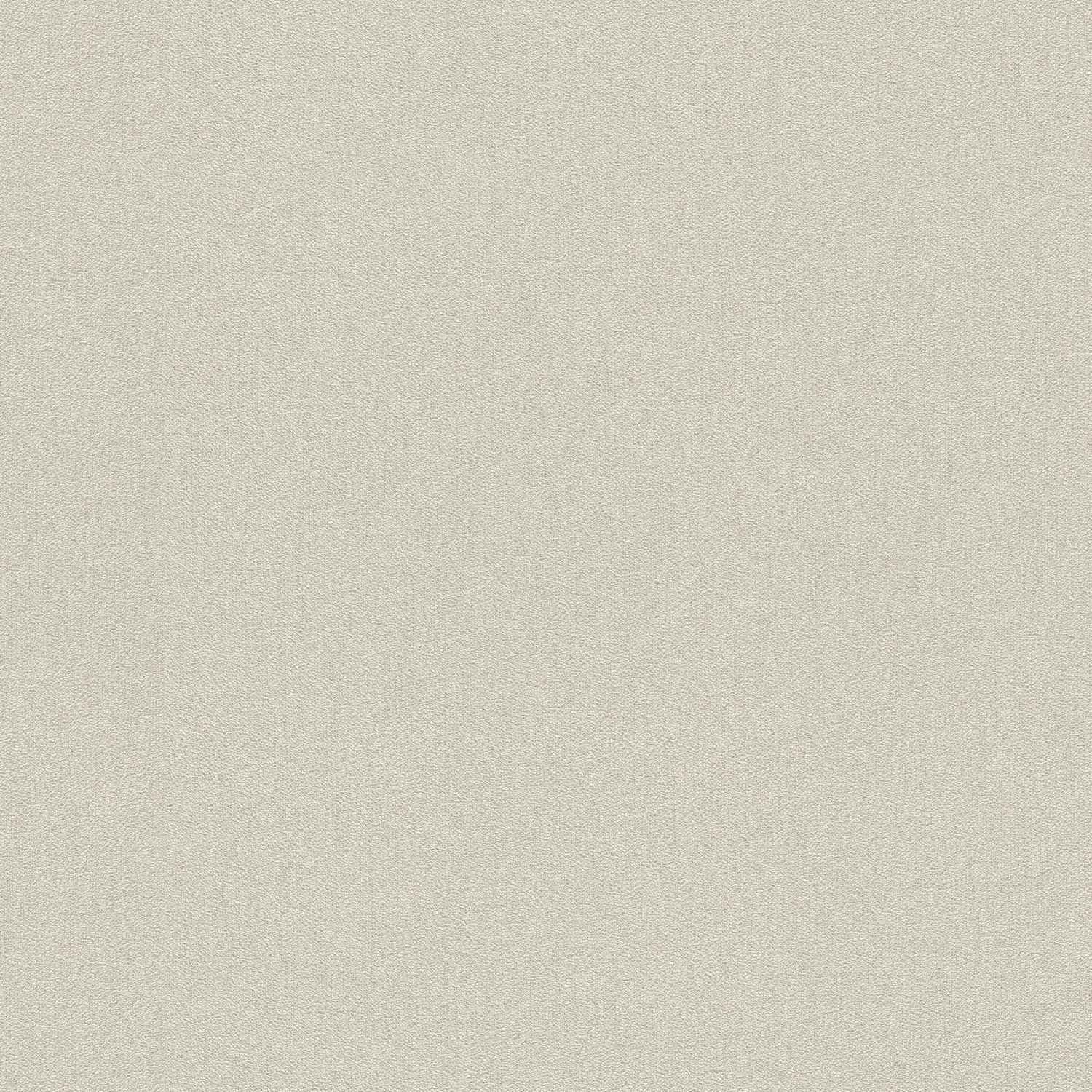 Rasch | Welcome Home | 441642 | Vliestapete | Einfarbig | Uni | 0.53 x 10.05 m | Grau