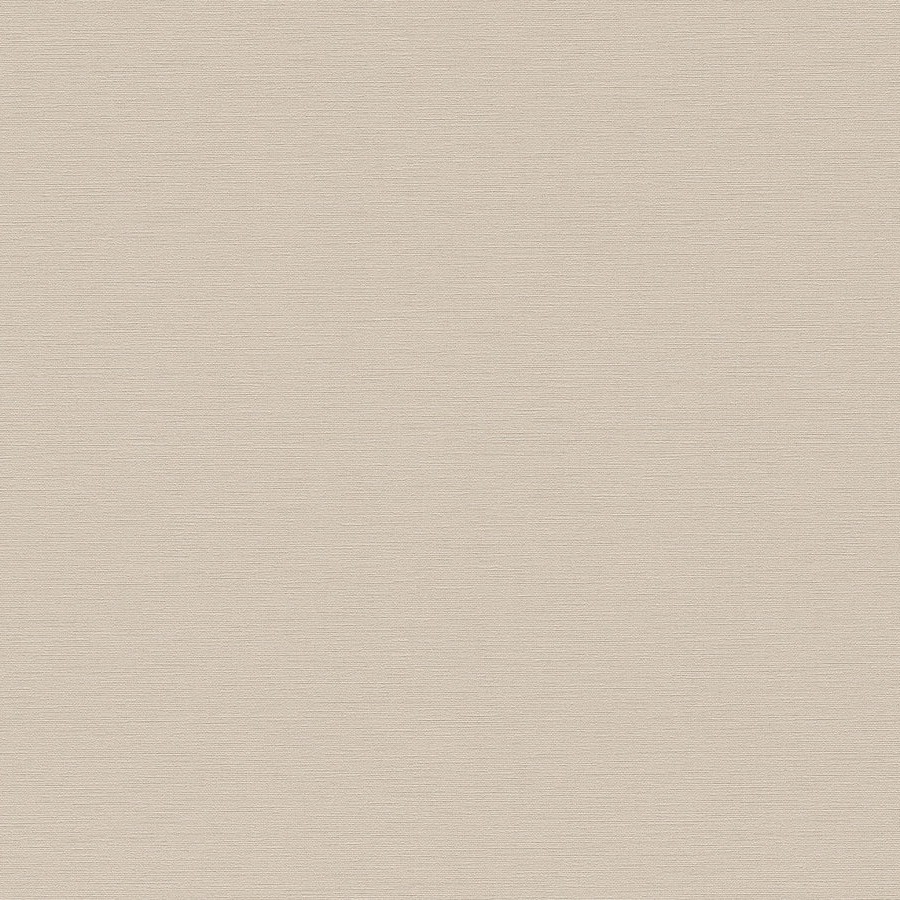 A.S. Creation | Antigua | 390971 | Vliestapete | Einfarbig | 10.05 x 0.53 m | Beige