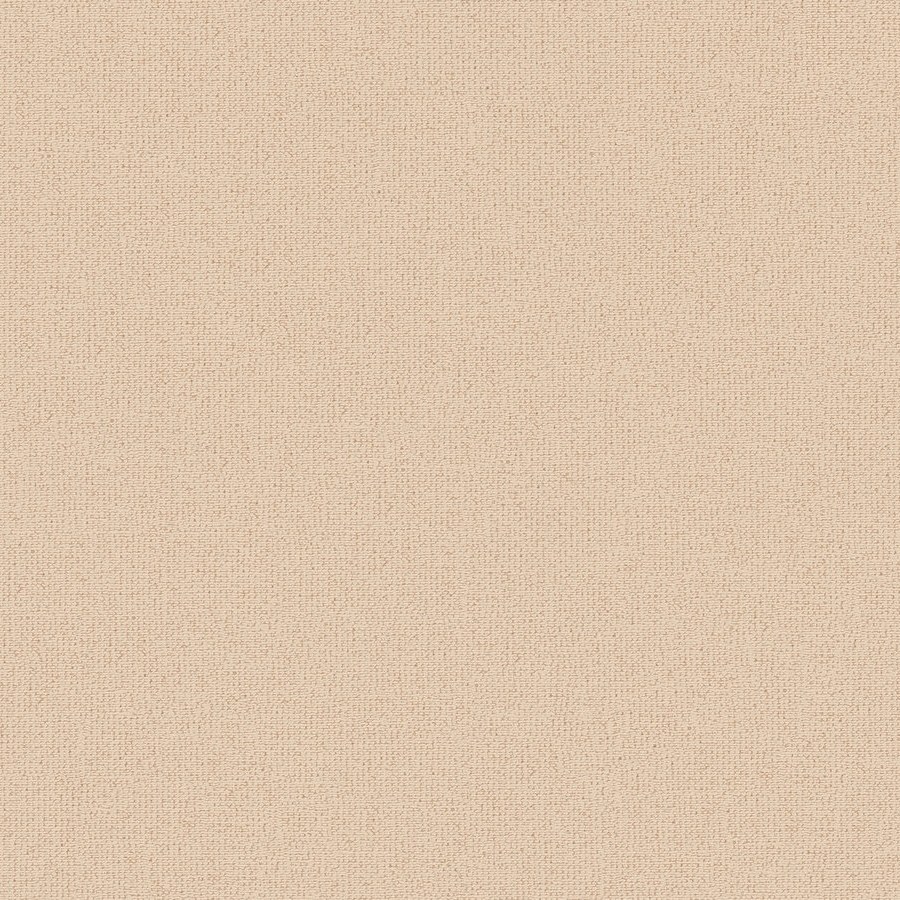 A.S. Creation | Attractive 2 | 390395 | Vliestapete | Einfarbig | 10.05 x 0.53 m | Orange