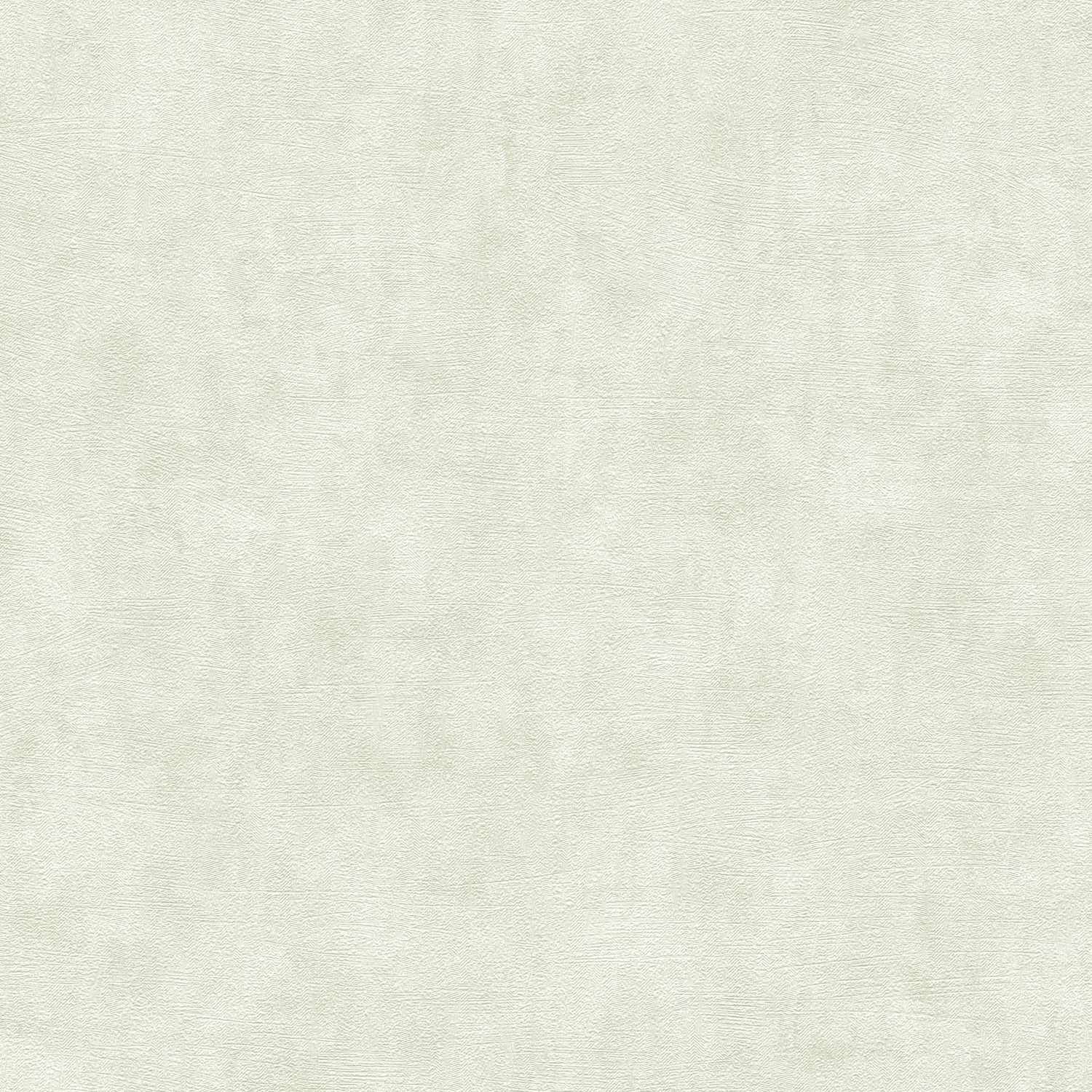 A.S. Creation | Terra | 389225 | Vliestapete | Einfarbig | 10.05 x 0.53 m | Grün