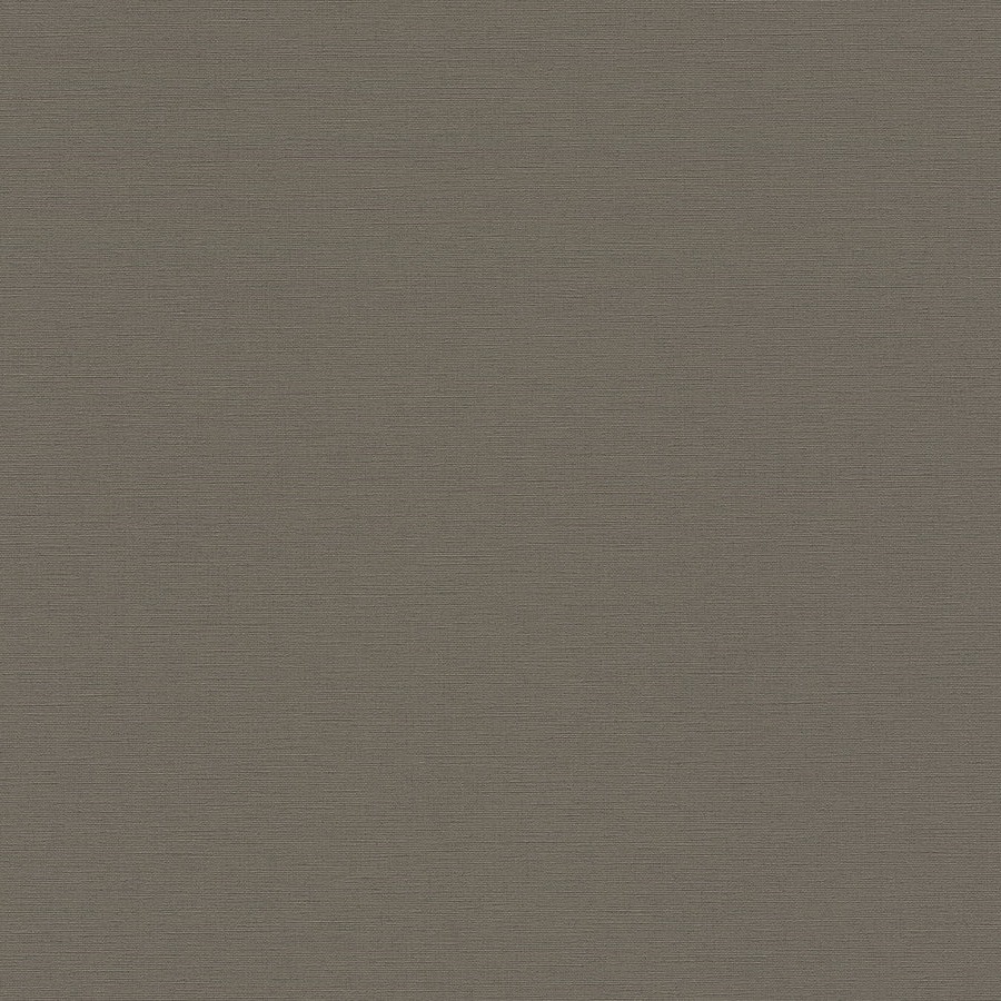 A.S. Creation | Antigua | 390977 | Vliestapete | Einfarbig | 10.05 x 0.53 m | Beige
