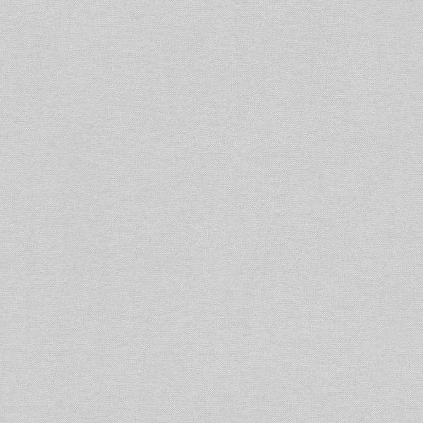 A.S. Creation | Elegance 3 | 304866 | Vliestapete | Einfarbig | Uni | 0.53 x 10.05 m | Grau A.S. Creation | Elegance 3 | 304866 | Vliestapete | Einfarbig | Uni | 0.53 x 10.05 m | Grau