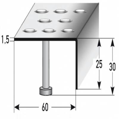 Treppenkante "Lana" 25 mm x 60 mm Edelstahl, Rutschhemmend R12 DIN 51130, Prägelochung