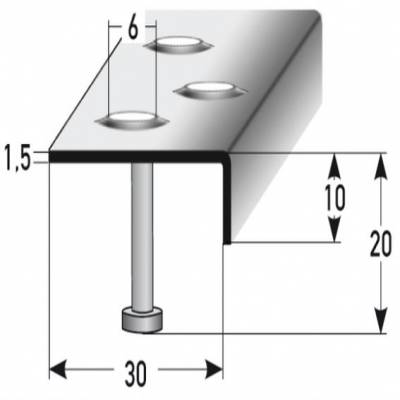 Treppenkante "Busca" 10 mm x 30 mm Edelstahl, Anker, Rutschhemmend R12 DIN 51130, Prägelochung,